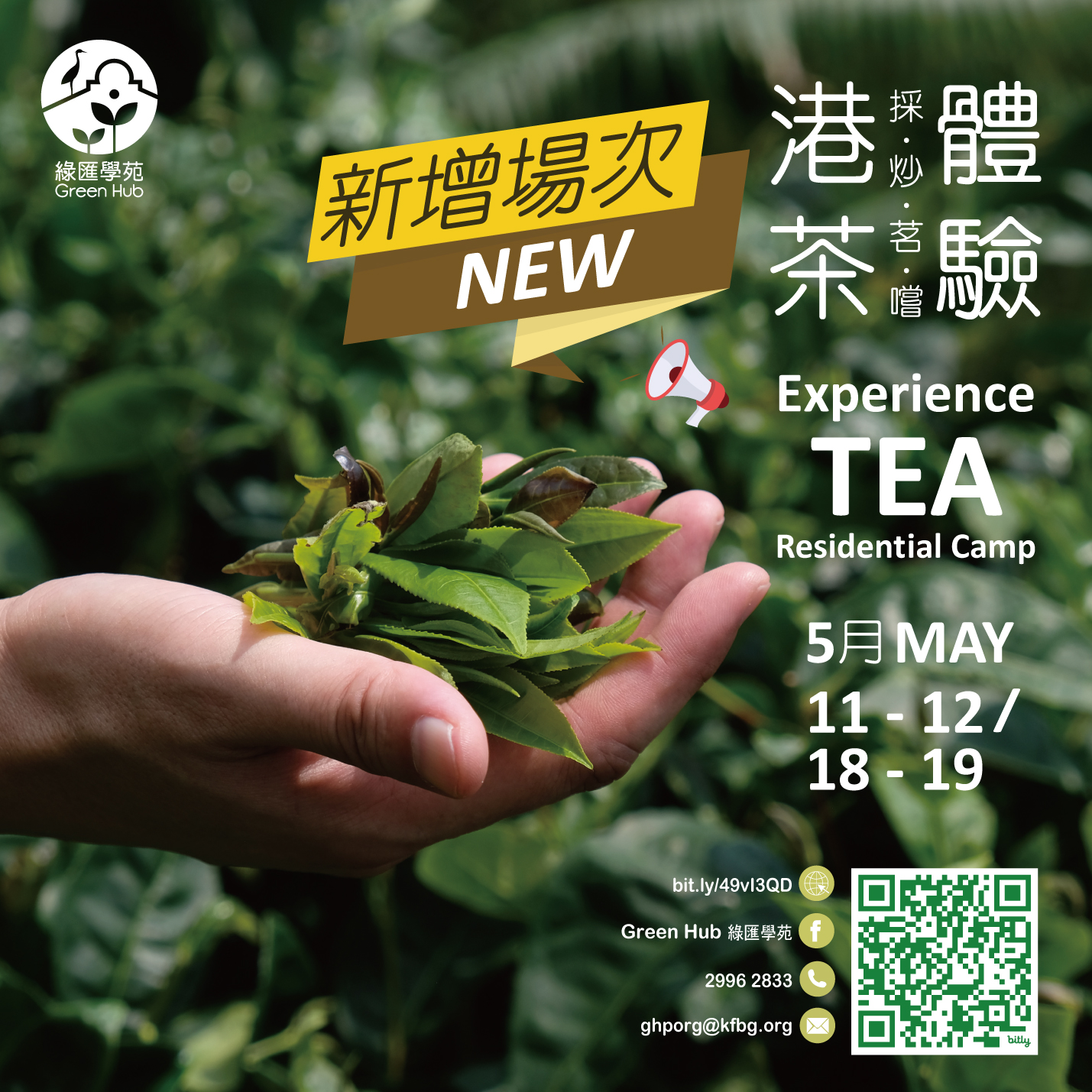 Experience Tea Camp