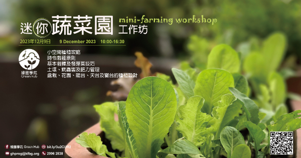 Mini-Farming Workshop