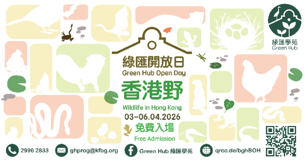 Wildlife in Hong Kong