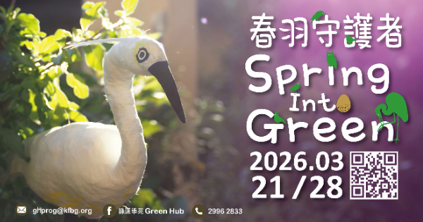 "Spring Into Green" eco-art project