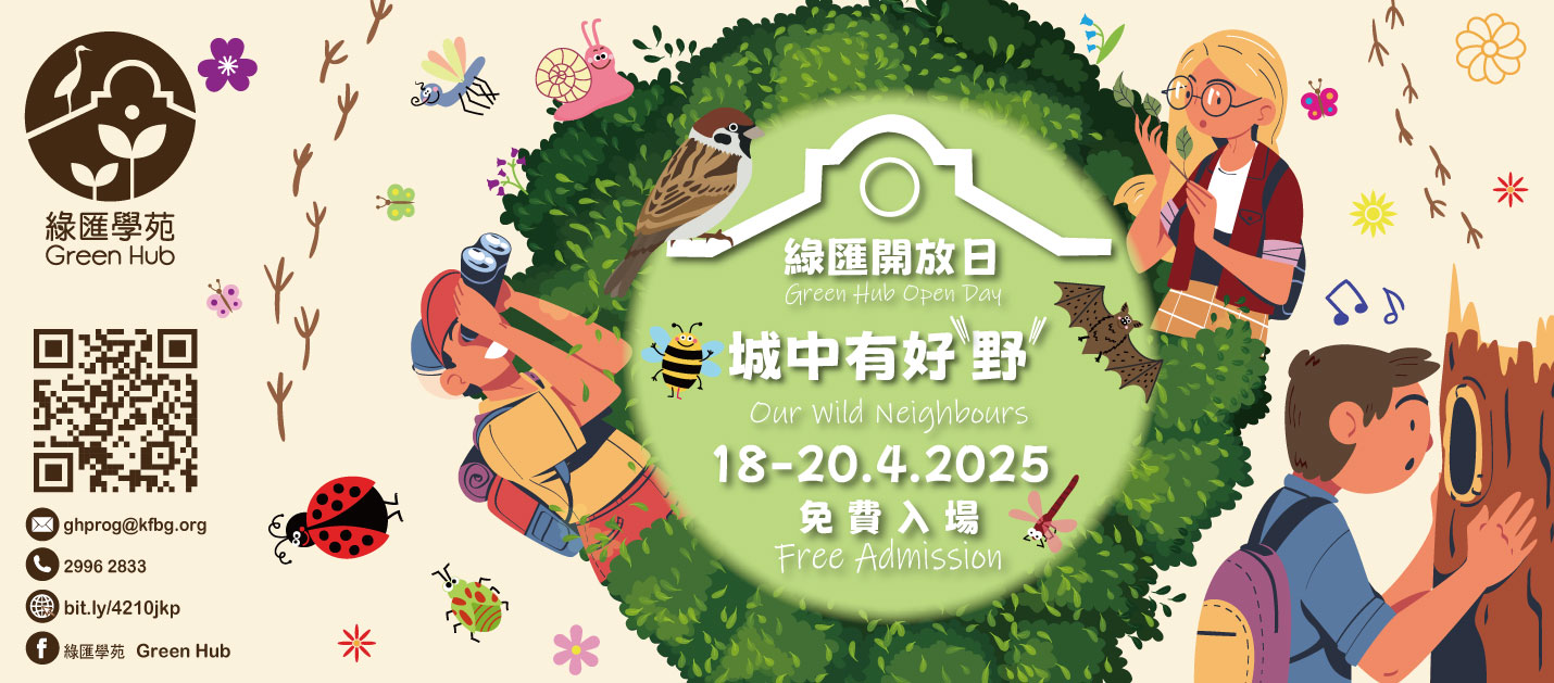 open day poster