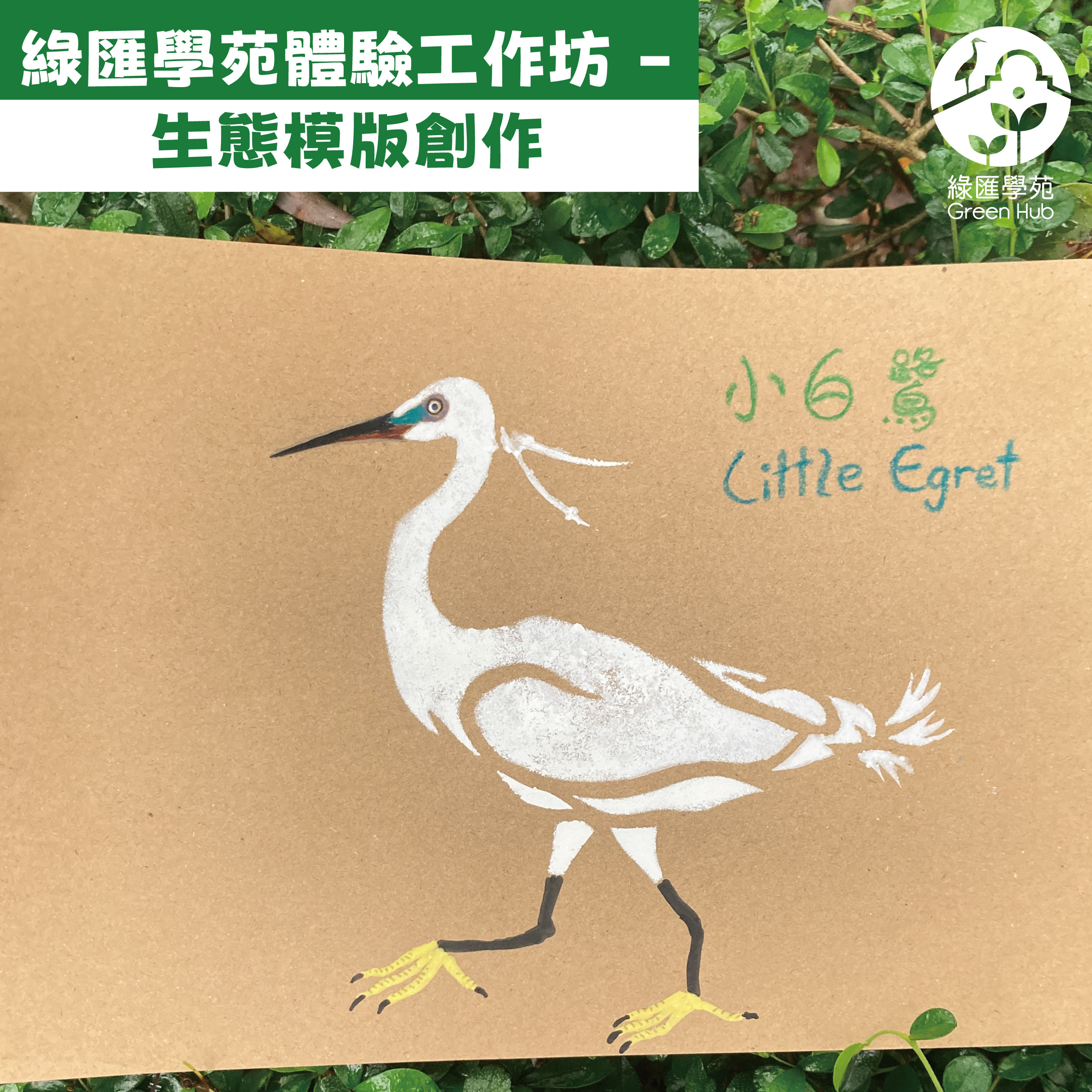 close-up-hand-touching-plant sq lr